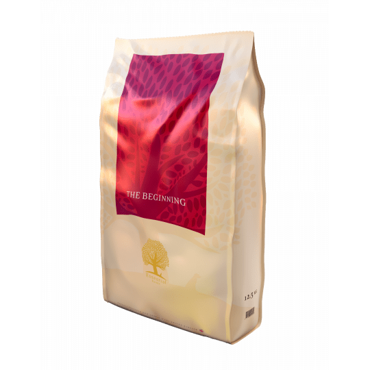 essential-foods-the-beginning-125-kg
