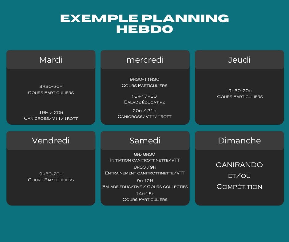 planning club exemple