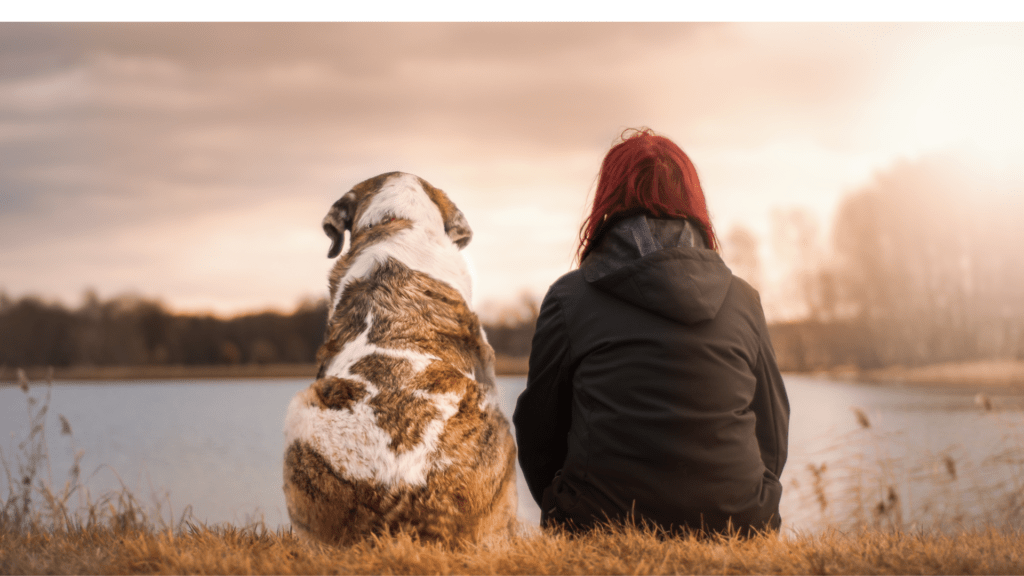 un chienet sa maitresse assis face à un lac